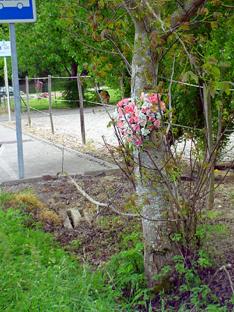 maisontrajcourone.jpg (23767 octets)