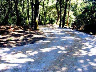 maisonchemin.jpg (31056 octets)