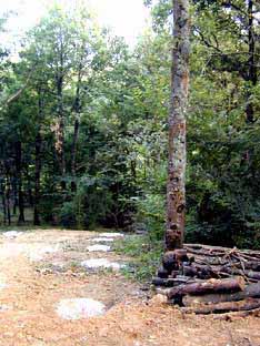 maisond2etbuche.jpg (28092 octets)