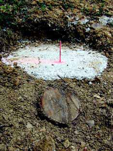 maisonplotetsouche.jpg (31541 octets)