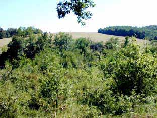 maisonvalenface.jpg (27311 octets)